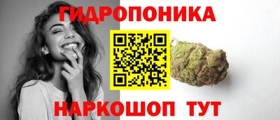 a pvp Бийск