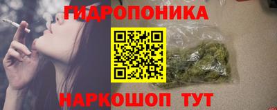a pvp Бийск