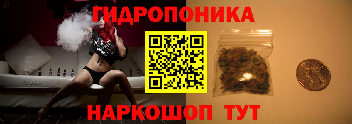 Гусев  Бошки Шишки индика  Вход с VPN  Бошки марихуана ГИДРОПОН 